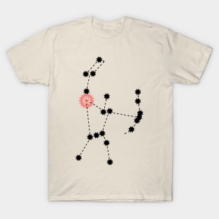 Ardra Nakshatra Hindu Vedic Sidereal Astrology Constellation T-Shirt